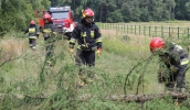 Działania ratownicze na terenie obozu harcerskiego nad którym przeszła wichura - ćwiczenia "Mielec 2018"